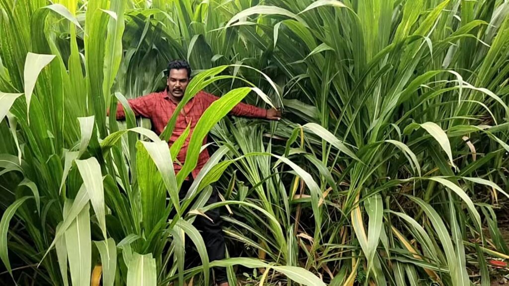 গুয়েতমালা